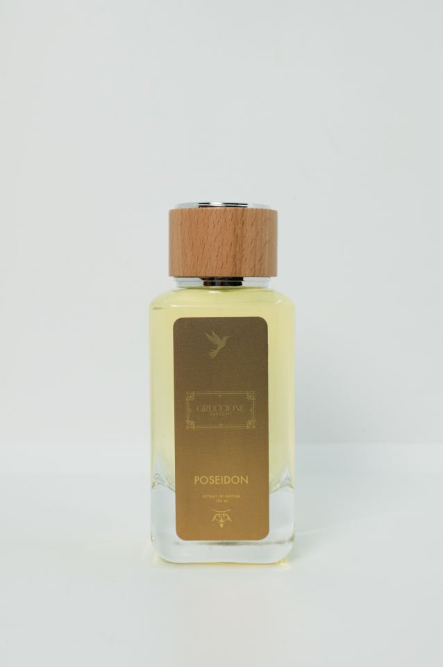POSEIDON